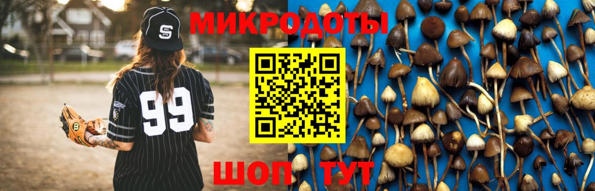 Галлюциногенные грибы прущие грибы  Вход с VPN  Красноуфимск 