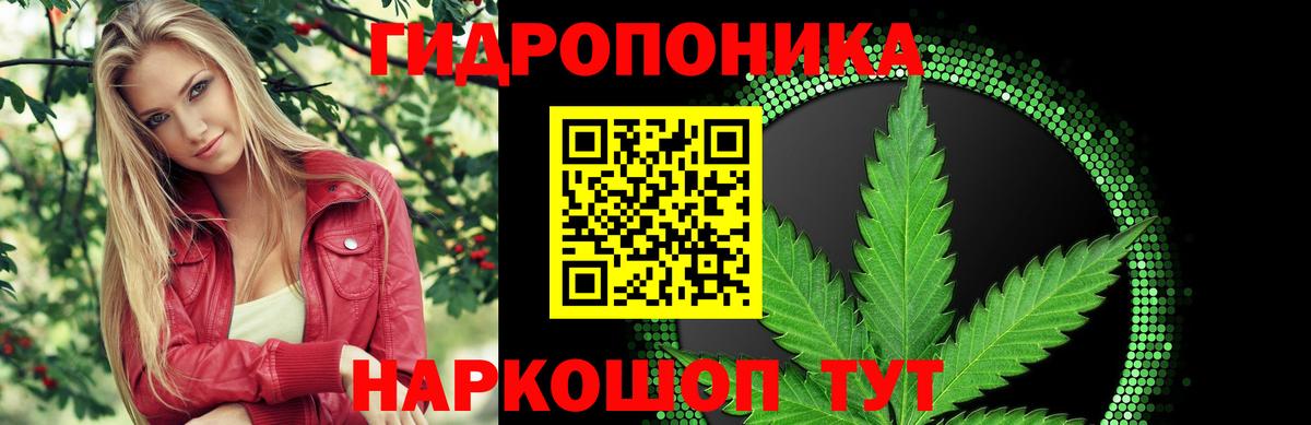 Шишки марихуана гибрид Красноуфимск